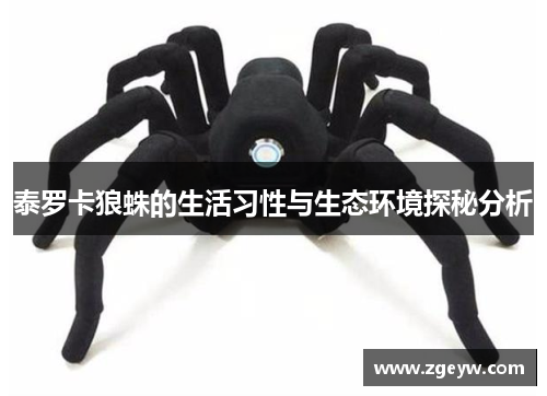 泰罗卡狼蛛的生活习性与生态环境探秘分析